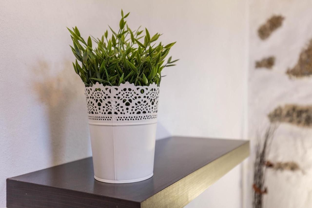 Appartement Edén Ecologico en Casa La Fuentita à El Charco  Extérieur photo